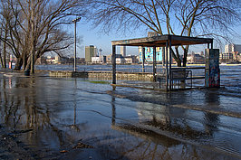 Bernhard Saalfeld - Rheinpark Aussichtspunkt